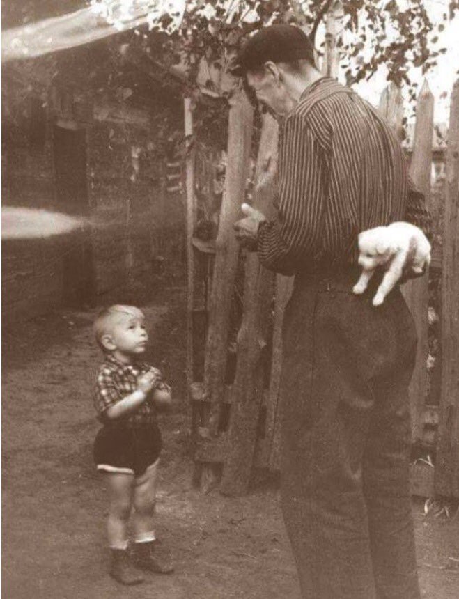 659x860, 88 Kb / ч/б, мальчик, мужчина, щенок, подарок, собака, ребёнок