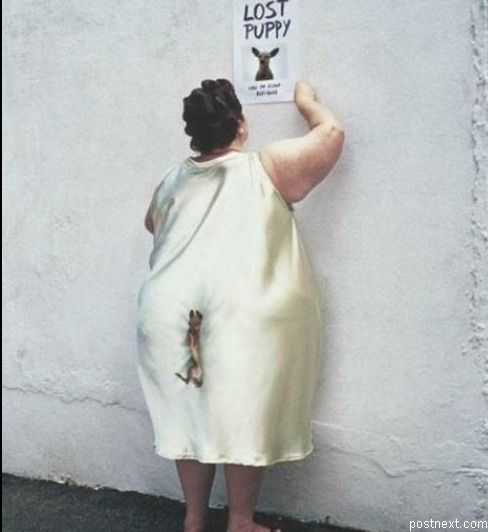 488x532, 30 Kb / щенок, жопа