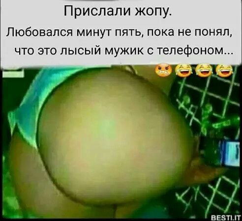 492x450, 34 Kb / Жопа, трусы, телефон, лысый