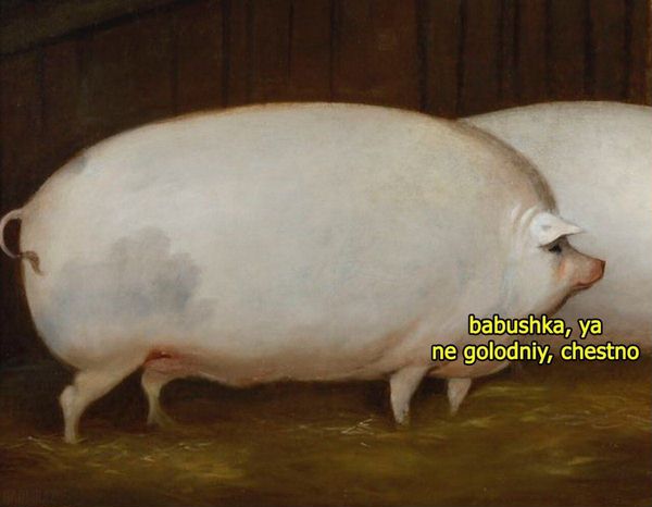 600x466, 31 Kb / бабушка, не голодный, свинья