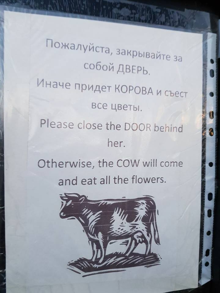 720x960, 59 Kb / объявление, корова, цветы