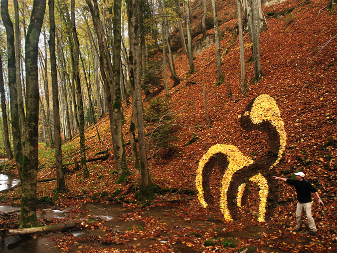 676x507, 194 Kb / лес, мужчина, деревья, листва, узор