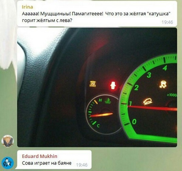 600x564, 65 Kb / сова, баян, панель, катушка