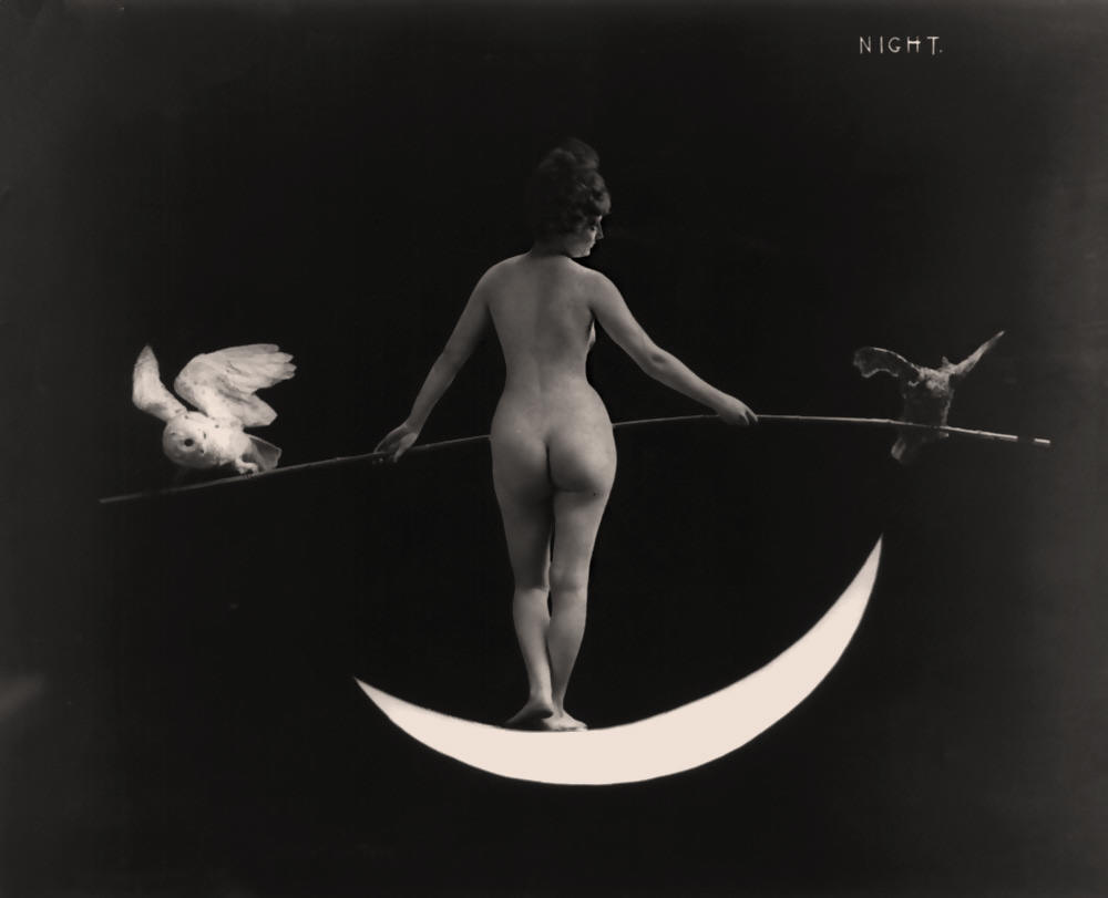 1000x811, 41 Kb / месяц, совы, ночь, ч/б