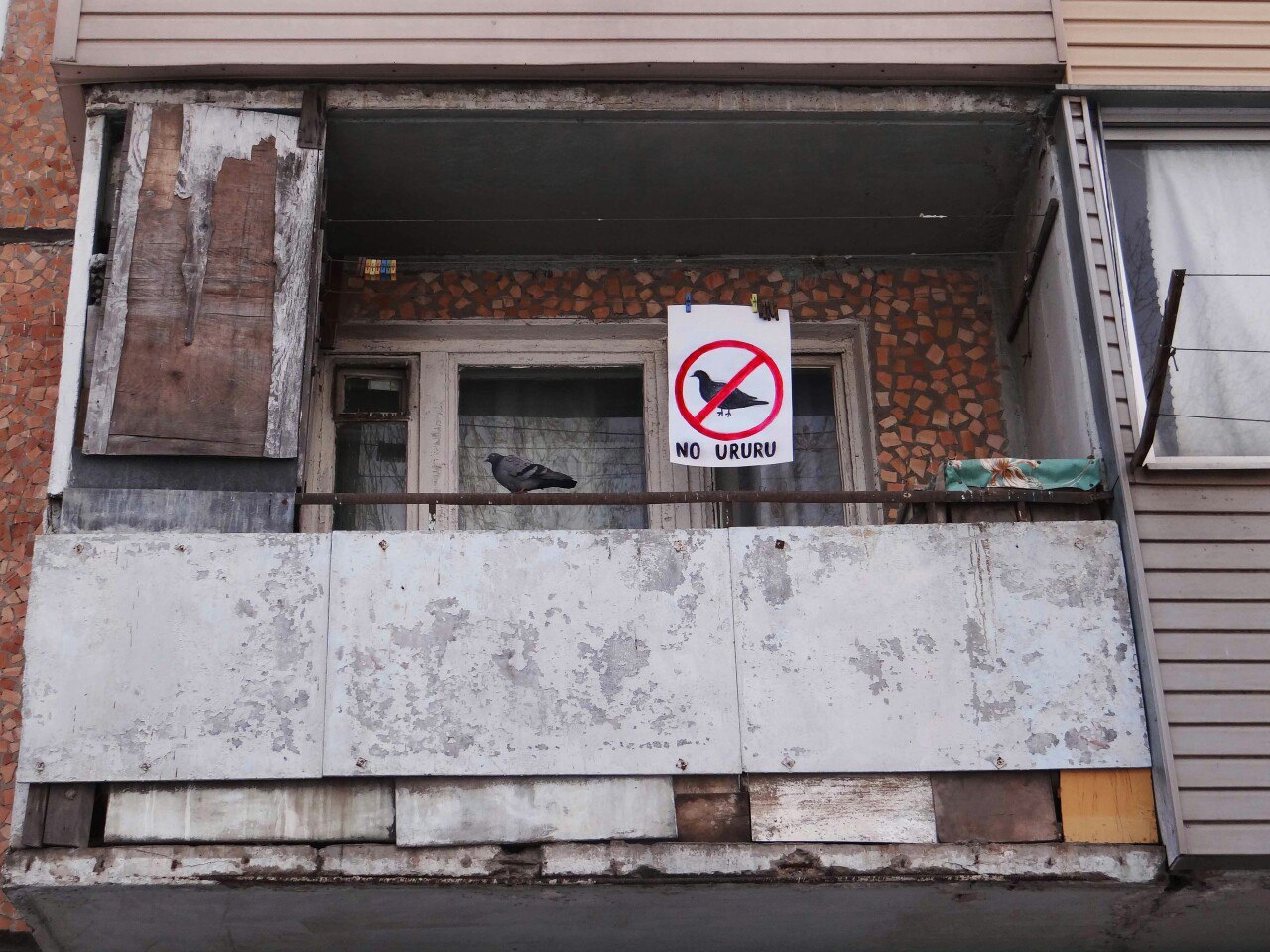 1280x960, 286 Kb / балкон, голубь, знак