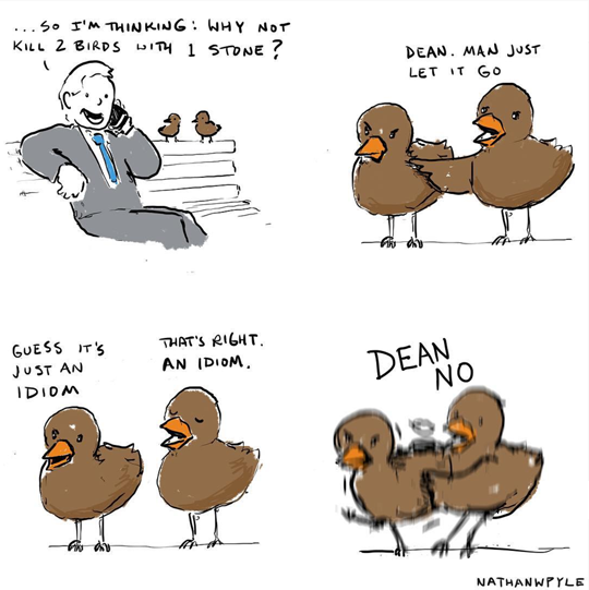 540x541, 179 Kb / птицы, камень, идиома