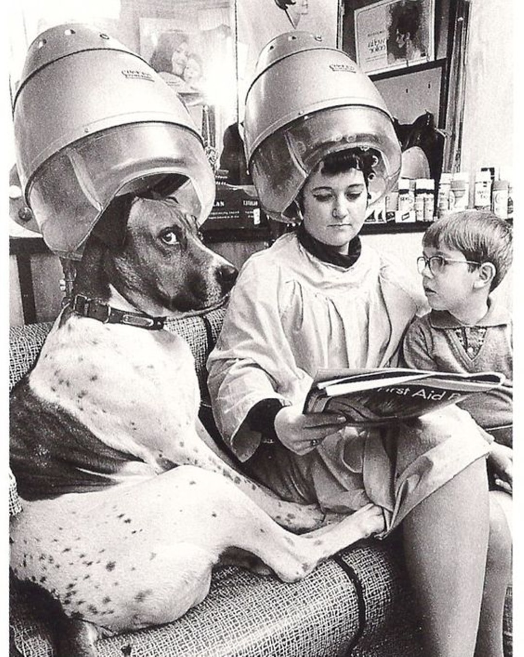 1080x1353, 301 Kb / собака, женщина, ребёнок, парикмахерская, ретро, ч/б