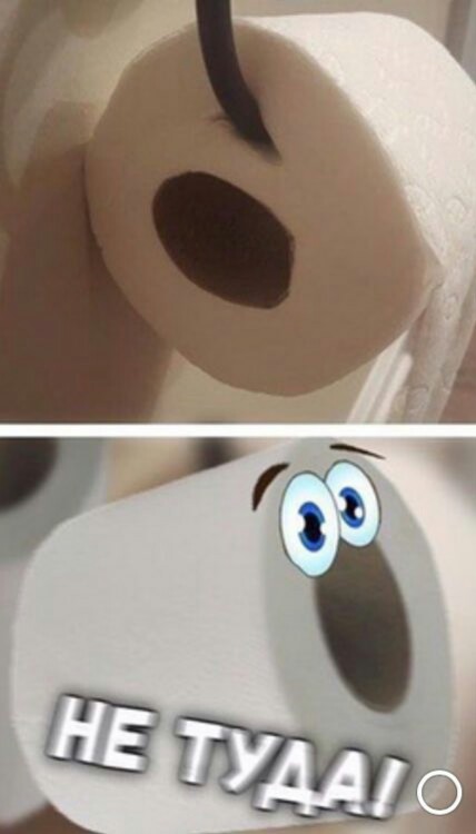 428x750, 38 Kb / туалетная, бумага