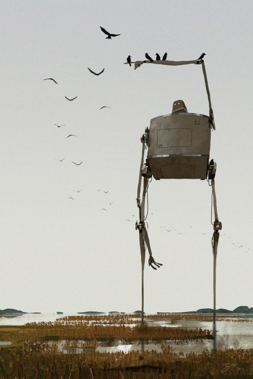 500x750, 50 Kb / робот, птицы, болото