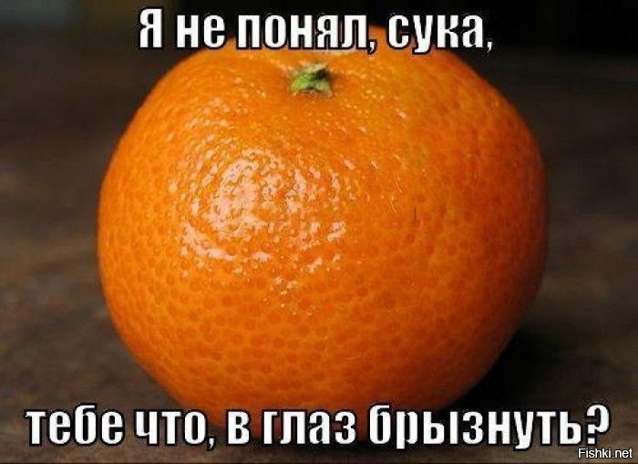 700x509, 115 Kb / апельсин