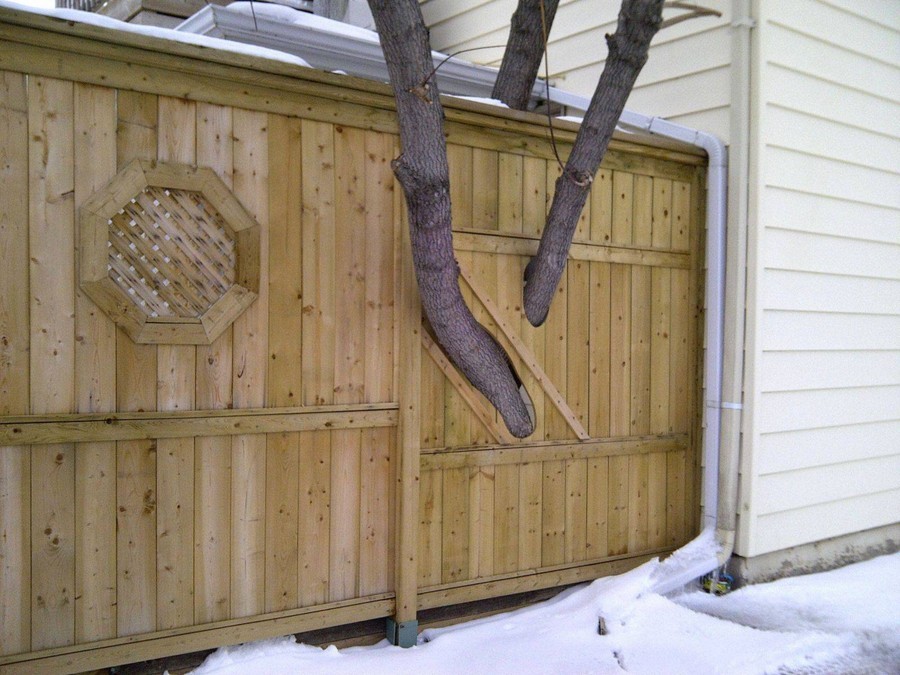 900x675, 160 Kb / дерево, забор