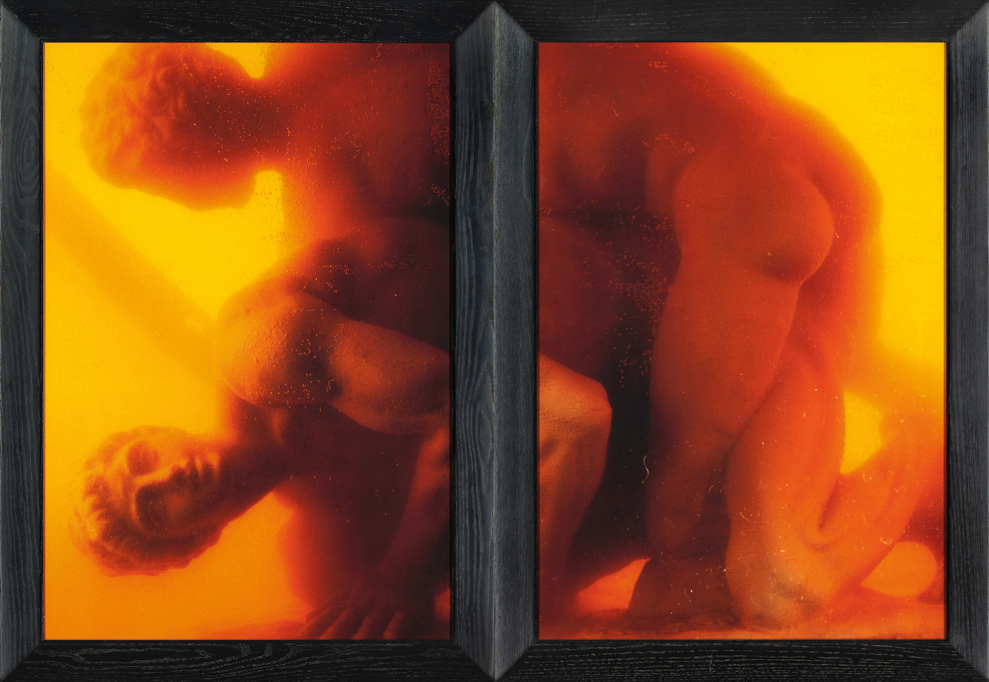 3200x2207, 498 Kb / парочка, аквариум, пузырьки