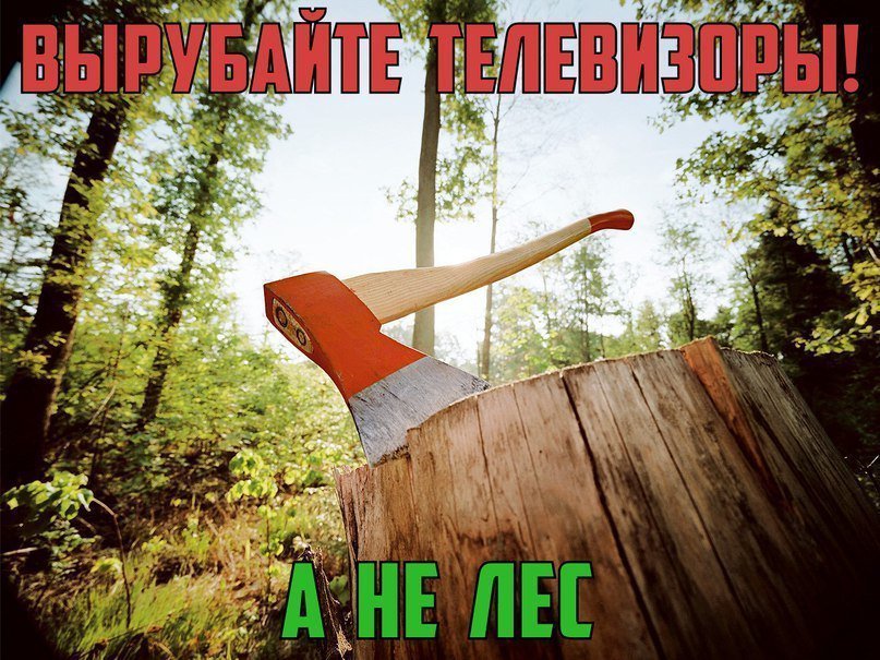 807x605, 142 Kb / лес, телевизоры, топор, пень, вырубайте