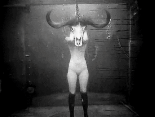 500x378, 253 Kb / голая, череп, рога,ч/б