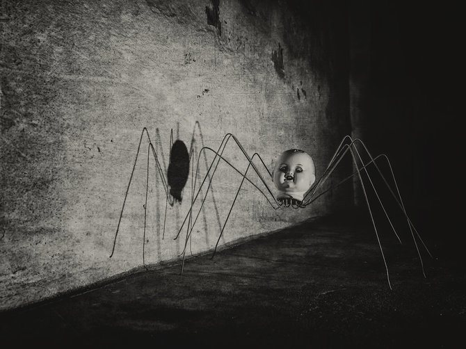 670x502, 68 Kb / кукла, паучьи ножки, угол, ч/б