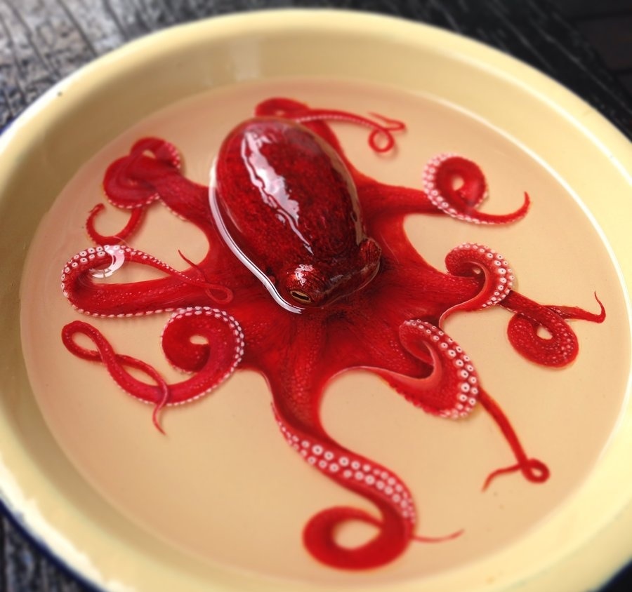 900x844, 127 Kb / осьминог