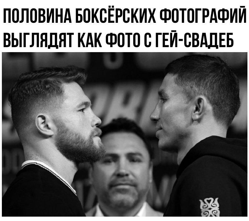 800x708, 75 Kb / боксеры, фото, гей-свадьба