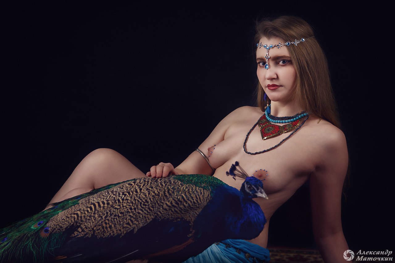 1280x853, 113 Kb / титьки, украшения, павлин