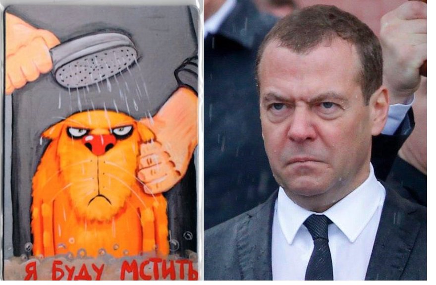 880x575, 81 Kb / кот, душ, медведев, месть