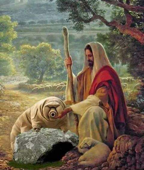 480x567, 41 Kb / иисус, тихоходка, рисунок