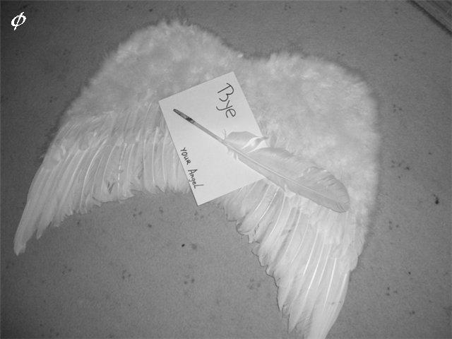 640x480, 35 Kb / пока, ангел