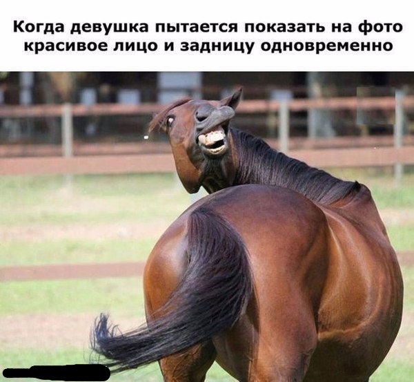 600x553, 93 Kb / задница, лошадь, кобыла, фотография, селфи