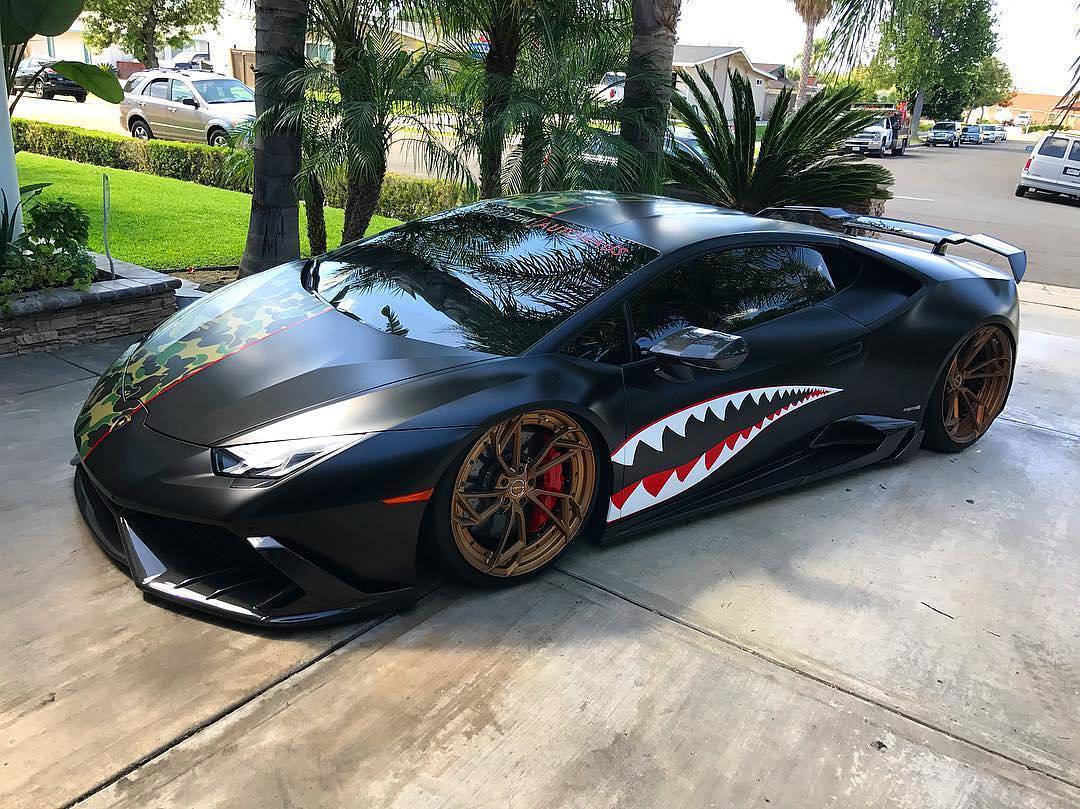 1080x809, 188 Kb / ламборгини, зубы, пасть, акула, аэрография