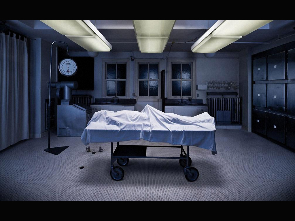 1024x768, 494 Kb / стояк, морг