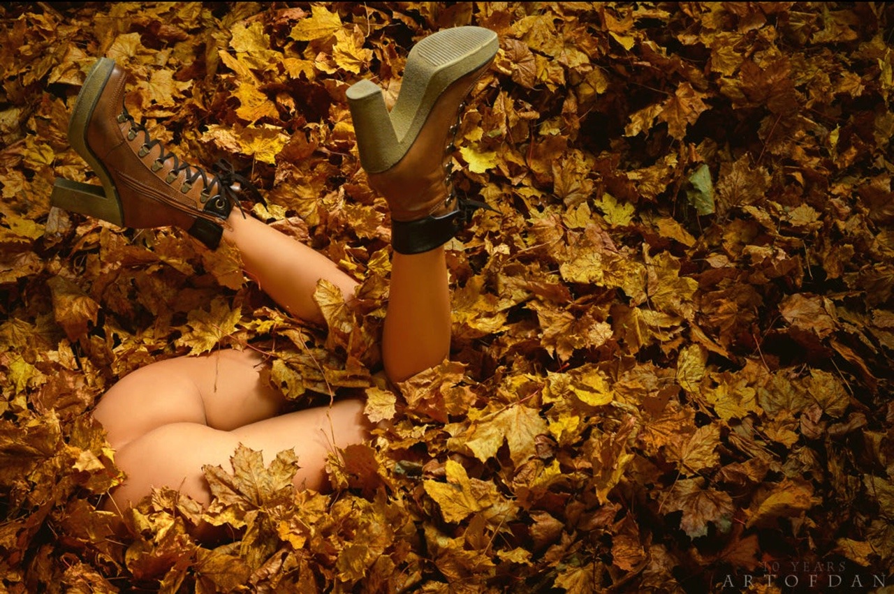 1280x851, 416 Kb / листья, осень, сапоги, попа