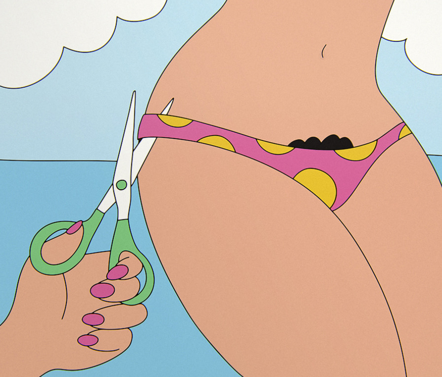 897x765, 166 Kb / ножницы, мохнатка