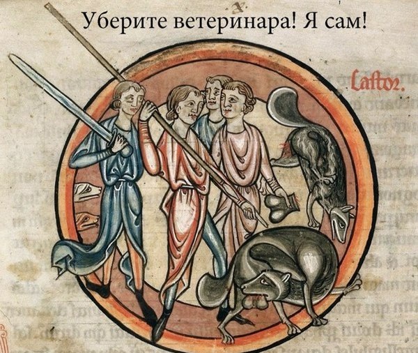 600x506, 152 Kb / ветеринар, собака, яйца, кастрация, средневековье