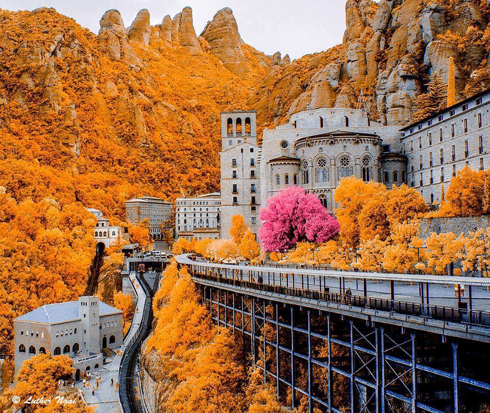 960x809, 239 Kb / горы, золото, листва, Монсеррат, Барселона