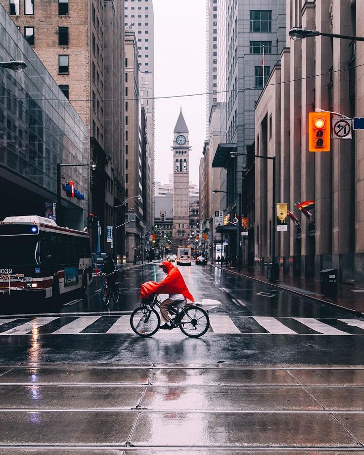 736x919, 171 Kb / город, автобус, дождь, мокрое, велосипедист, зебра