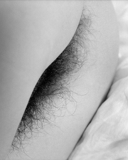 500x625, 40 Kb / зад, мохнатка, волосы, вагина, ч/б