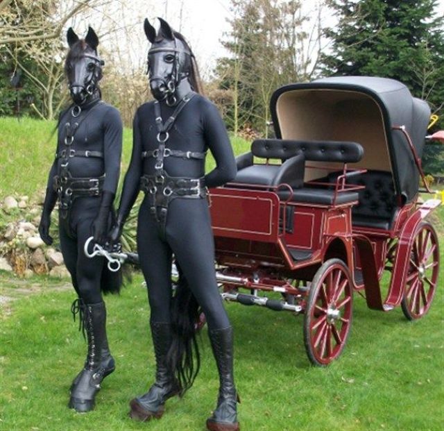 640x621, 91 Kb / карета, кони, портупеи, трава, деревья