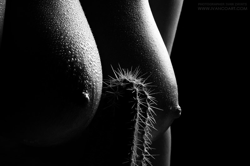 800x533, 65 Kb / титьки, кактус, капли, ч/б