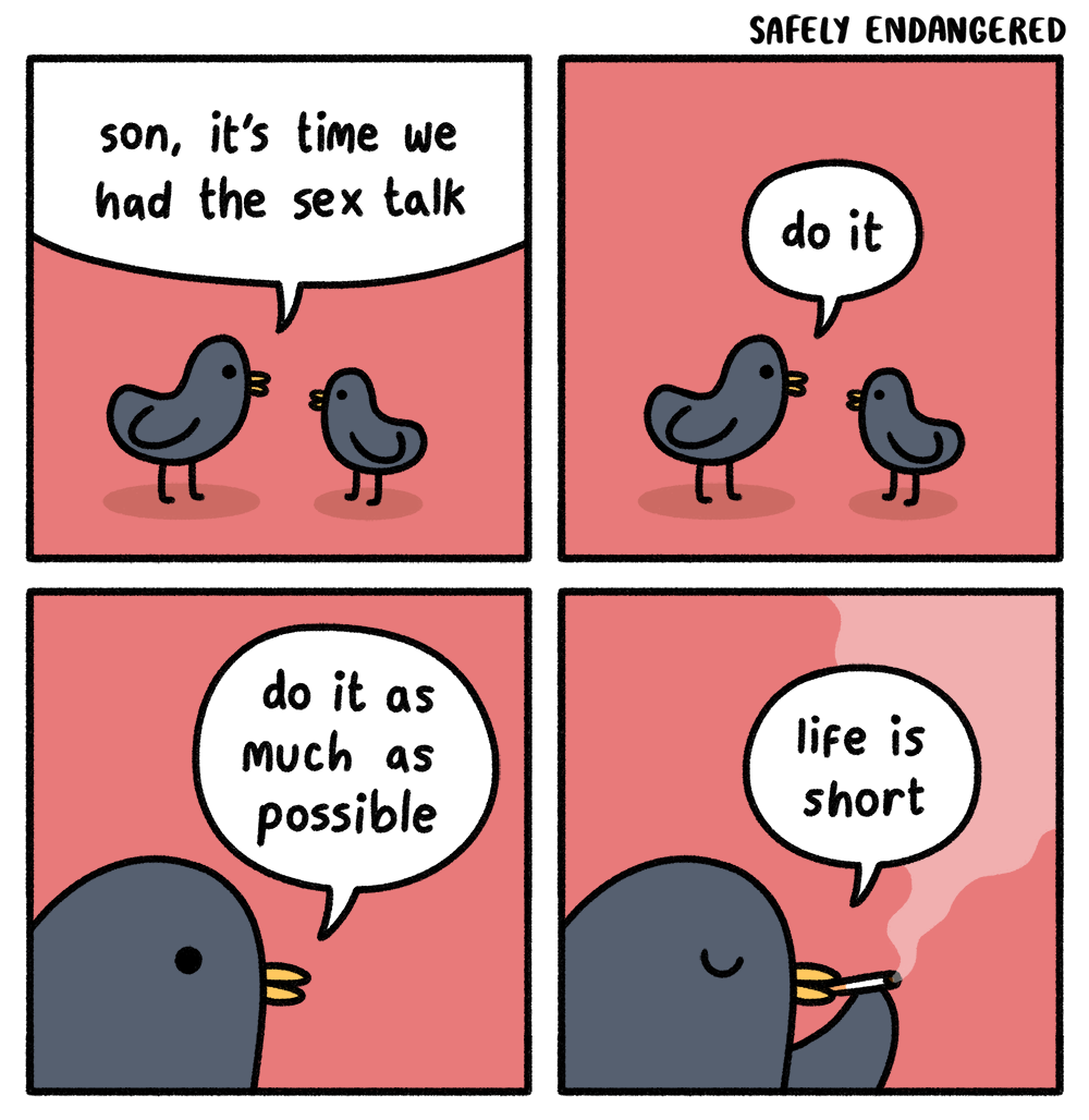 1000x1028, 307 Kb / голубь, птицы, секс, сигарета