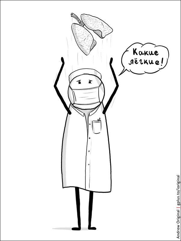 602x802, 46 Kb / легкие