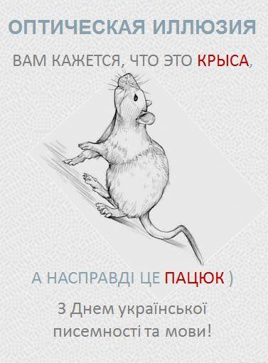 377x511, 27 Kb / оптическая, иллюзия, пацюк, крыса