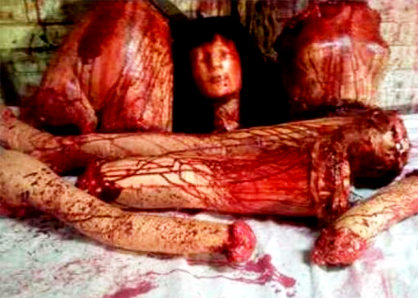 600x428, 378 Kb / расчлененка, части тела, игрушка