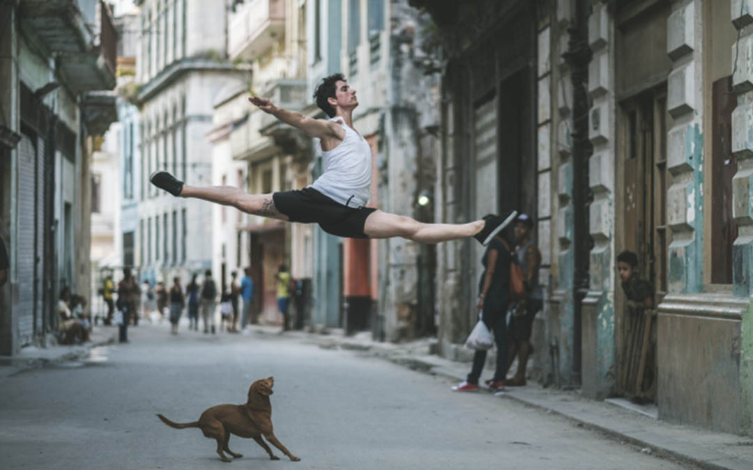 1080x675, 95 Kb / улица, танцор, прыжок, шпагат, собака