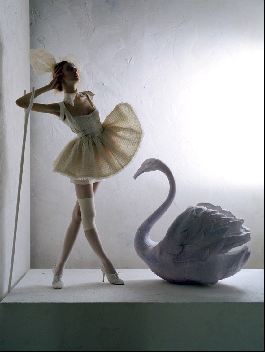 856x1137, 141 Kb / женщина, платье, туфли, лебедь, подпорка