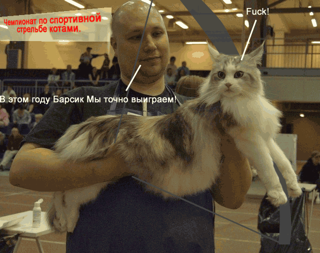 640x505, 121 Kb / кошкохульство