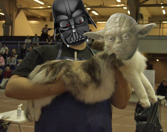 640x505, 141 Kb / дарт вейдер