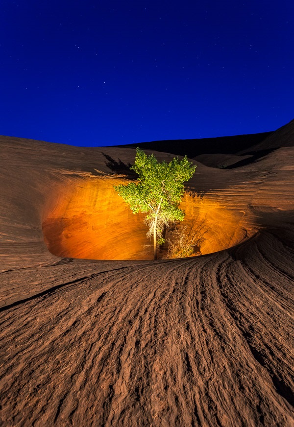 600x872, 205 Kb / дерево, дыра, ночь, dance, hall, rock, Юта