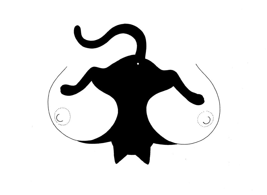 1107x807, 33 Kb / сиськи, киска, графика