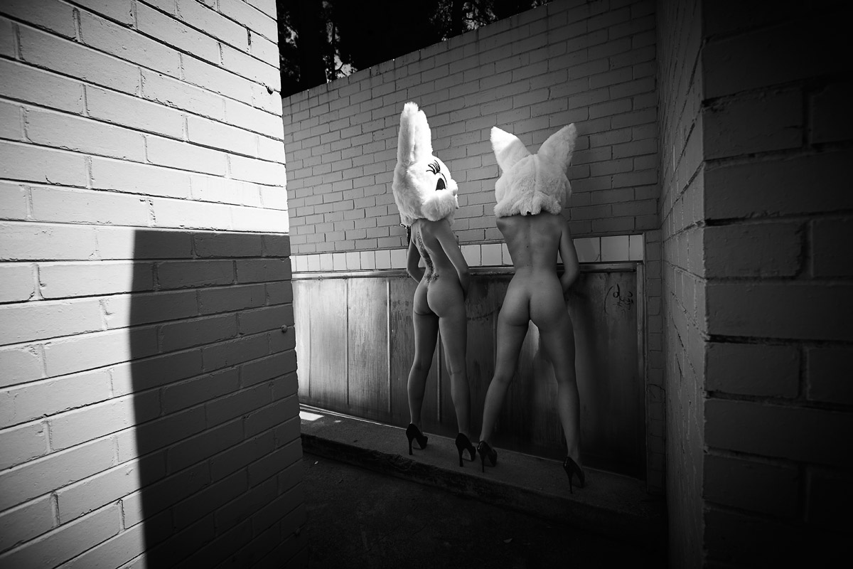 1200x800, 199 Kb / девушки, голые, зайцы, кирпичи, сзади, ч/б