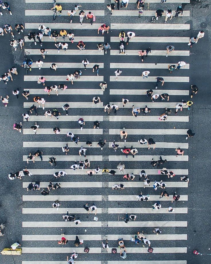 736x920, 210 Kb / пешеходный переход, зебра, люди, сверху