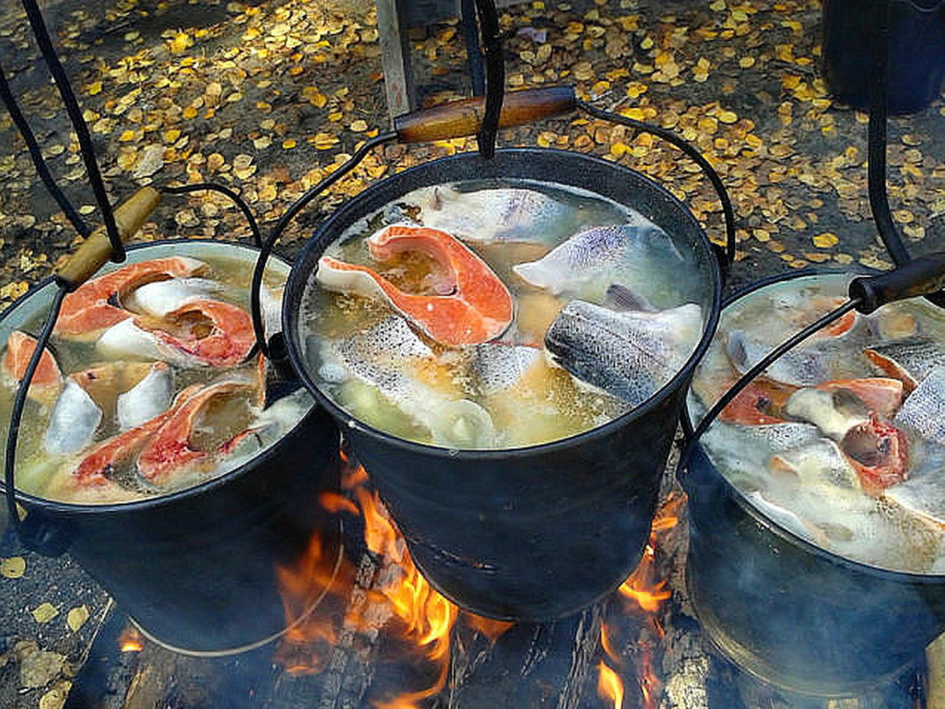 1345x1009, 383 Kb / уха, ведра, костер