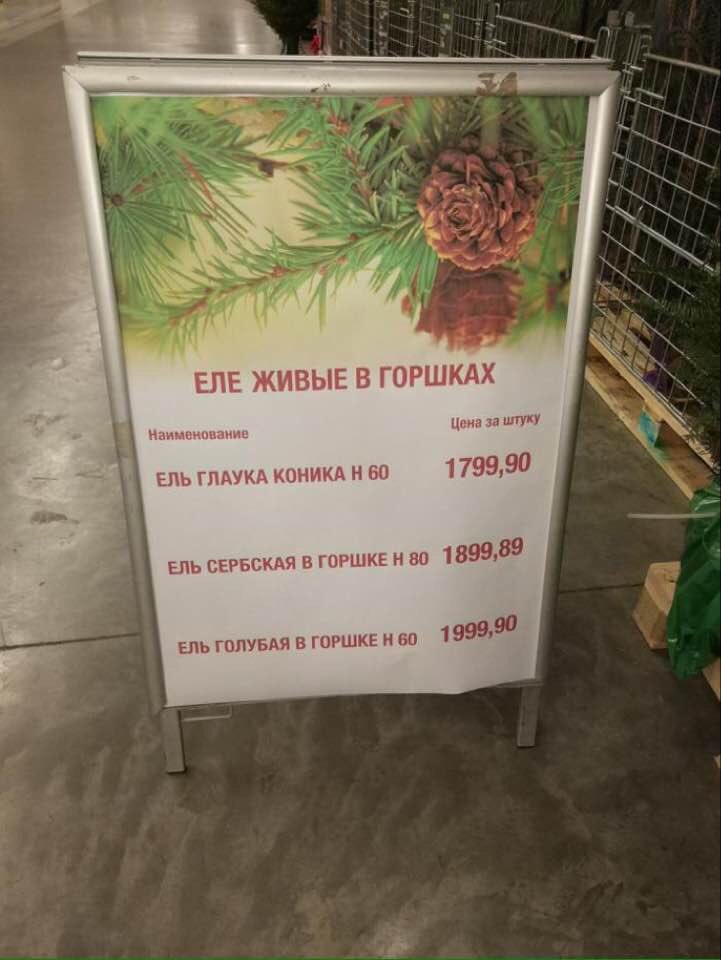 721x960, 68 Kb / еле, ели